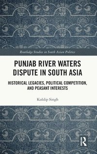 bokomslag Punjab River Waters Dispute in South Asia