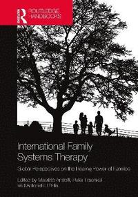 bokomslag International Family Systems Therapy
