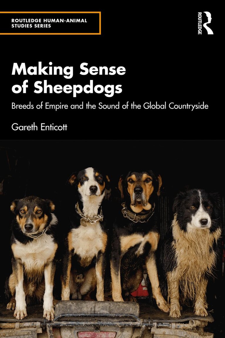 Gareth Enticott - Making Sense of Sheepdogs, Inbunden