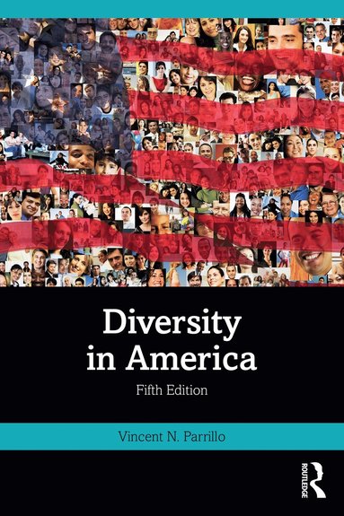 bokomslag Diversity in America