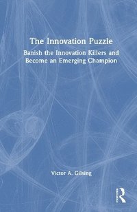 bokomslag The Innovation Puzzle