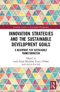 bokomslag Innovation Strategies and the Sustainable Development Goals
