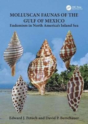 bokomslag Molluscan Faunas of the Gulf of Mexico