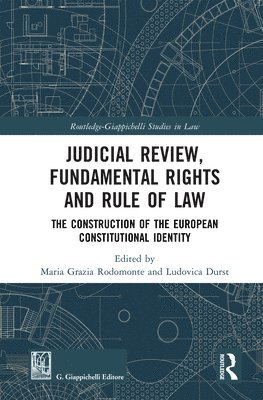 bokomslag Judicial Review, Fundamental Rights and Rule of Law