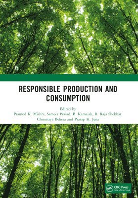 bokomslag Responsible Production and Consumption