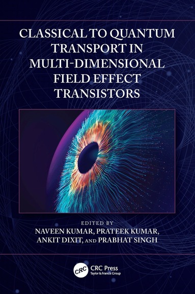 Naveen Kumar, Prateek Kumar, Ankit Dixit, Prabhat Singh - Classical to Quantum Transport in Multi-Dimensional Field Effect Transistors, Inbunden