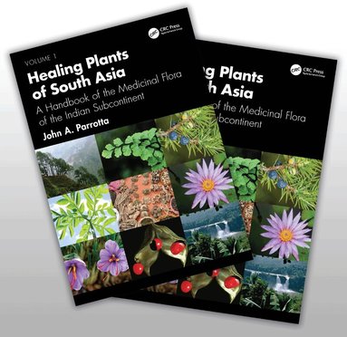 John A. Parrotta - Healing Plants of South Asia, Häftad