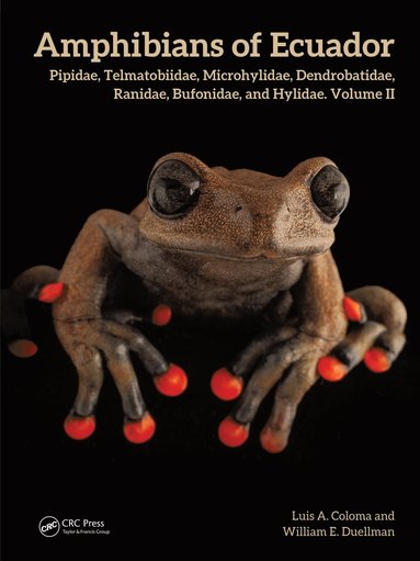 bokomslag Amphibians of Ecuador