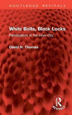 bokomslag White Bolts, Black Locks