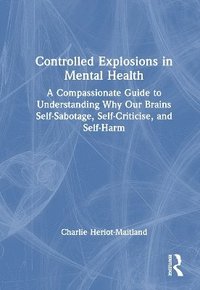 bokomslag Controlled Explosions in Mental Health