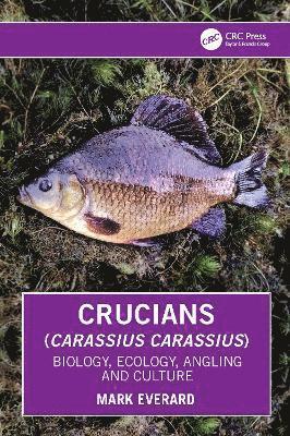 Crucians (Carassius carassius) 1