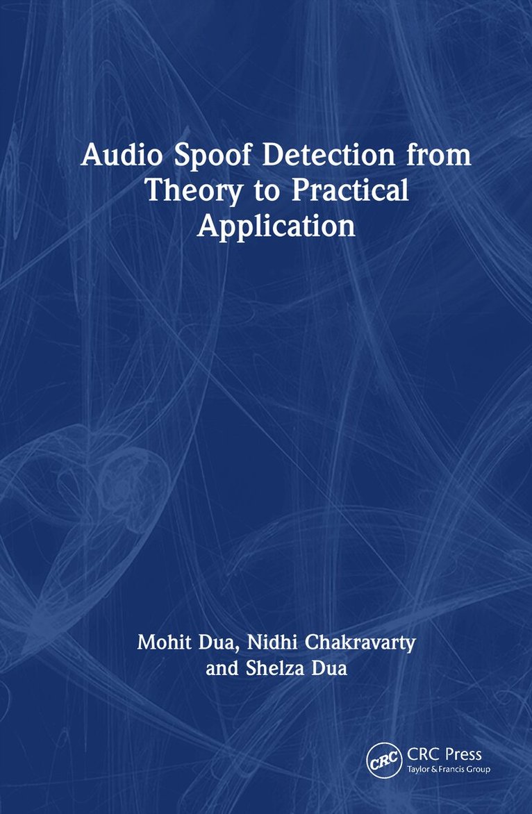 Audio Spoof Detection from Theory to Practical Application