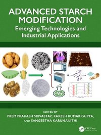 bokomslag Advanced Starch Modification