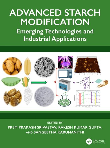 Prem Prakash Srivastav, Rakesh Kumar Gupta, Sangeetha Karunanithi - Advanced Starch Modification, Inbunden