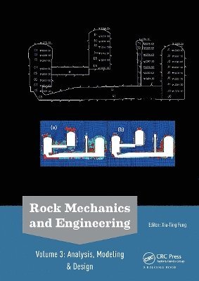 Xia-Ting Feng - Rock Mechanics and Engineering Volume 3, Häftad