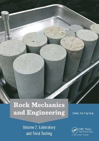 bokomslag Rock Mechanics and Engineering Volume 2