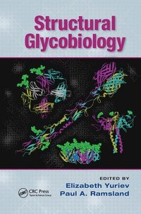 bokomslag Structural Glycobiology