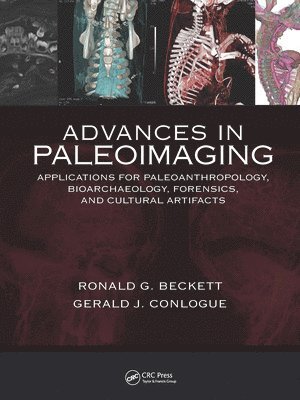 Advances in Paleoimaging 1