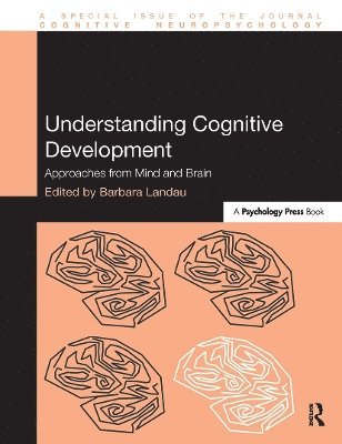 Understanding Cognitive Development 1