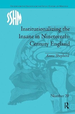 bokomslag Institutionalizing the Insane in Nineteenth-Century England