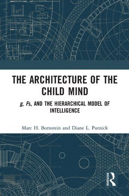 bokomslag The Architecture of the Child Mind