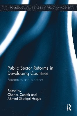 bokomslag Public Sector Reforms in Developing Countries