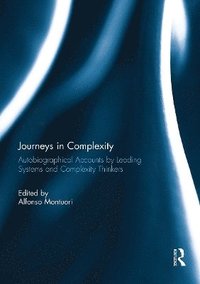 bokomslag Journeys in Complexity