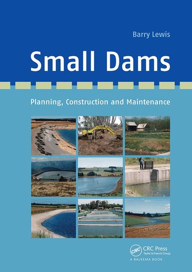 Barry Lewis - Small Dams, Häftad