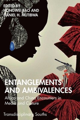 bokomslag Entanglements and Ambivalences