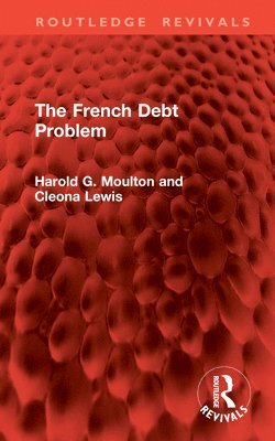 bokomslag The French Debt Problem