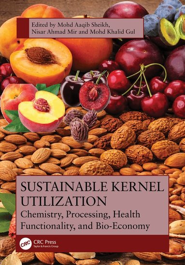 Mohd Aaqib Sheikh, Nisar Ahmad Mir, Mohd Khalid Gul - Sustainable Kernel Utilization, Inbunden