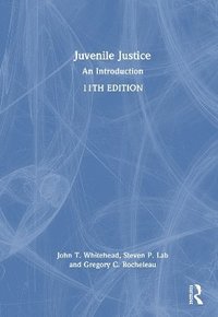 bokomslag Juvenile Justice