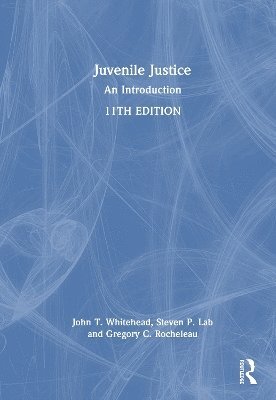 bokomslag Juvenile Justice