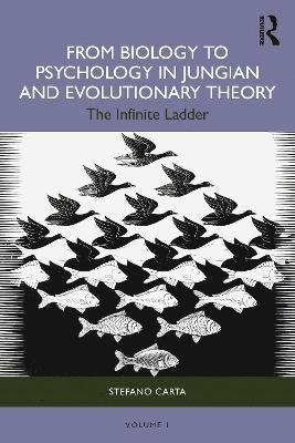 bokomslag From Biology to Psychology in Jungian and Evolutionary Theory