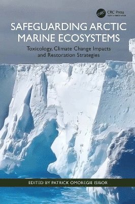 bokomslag Safeguarding Arctic Marine Ecosystems