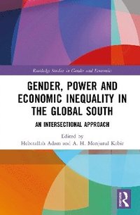 bokomslag Gender, Power and Economic Inequality in the Global South