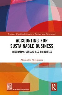 bokomslag Accounting for Sustainable Business