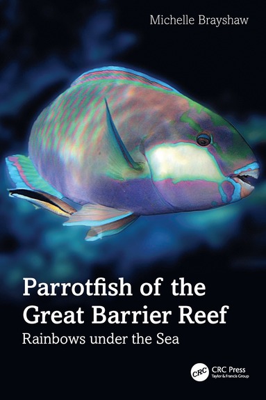 bokomslag Parrotfish of the Great Barrier Reef