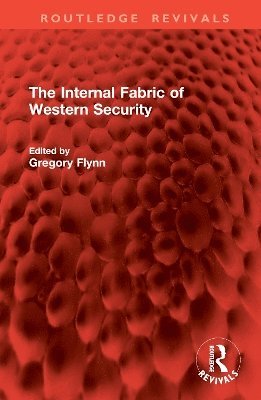 bokomslag The Internal Fabric of Western Security