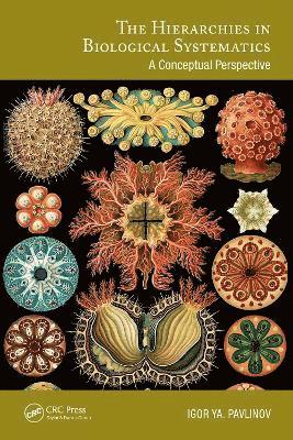 bokomslag Hierarchies in Biological Systematics