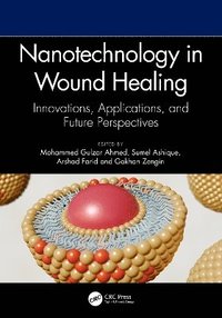 bokomslag Nanotechnology in Wound Healing