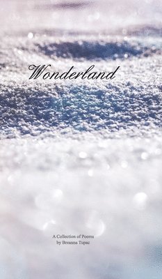 bokomslag Wonderland