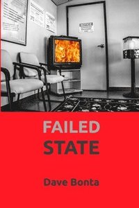 bokomslag Failed State