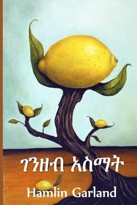 Hamlin Garland - ገንዘብ አስማት, Häftad
