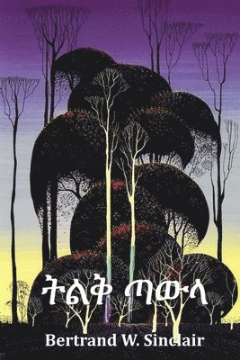 Bertrand W Sinclair, Bertrand W. Sinclair - ትልቅ ጣውላ, Häftad