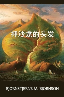 &#25276;&#27801;&#40857;&#30340;&#22836;&#21457; 1