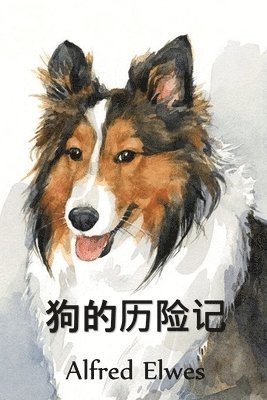 bokomslag &#29399;&#30340;&#21382;&#38505;&#35760;