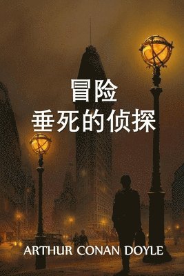Arthur Conan Doyle - 垂死侦探的冒险, Häftad