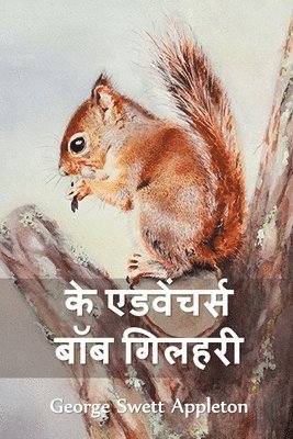 George Swett Appleton - द ट्रैवल्स एंड एक्सट्राऑर्डिनरी एडवेंचर्, Häftad