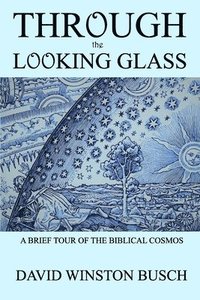 bokomslag Through The Looking Glass